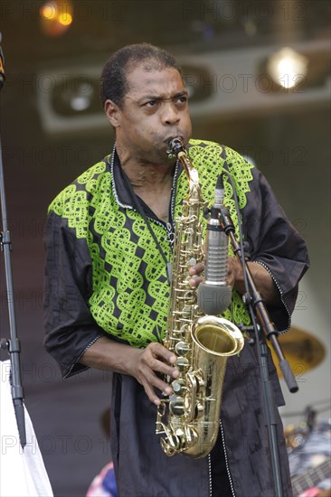 Femi Kuti, 2008