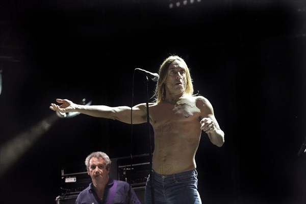 Iggy Pop, 2007