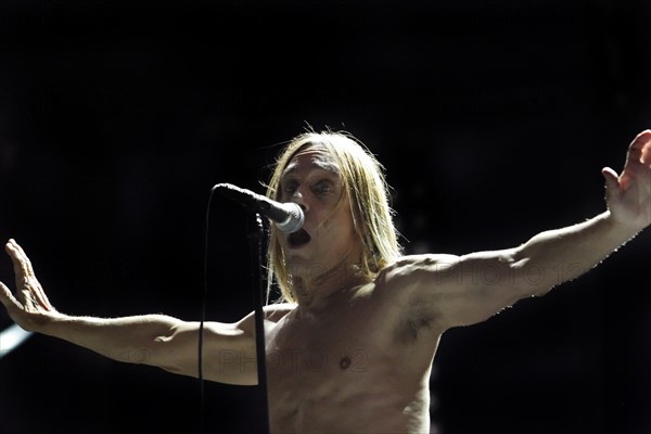 Iggy Pop, 2007