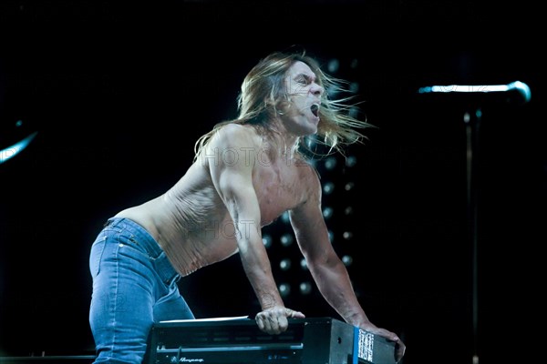 Iggy Pop, 2007