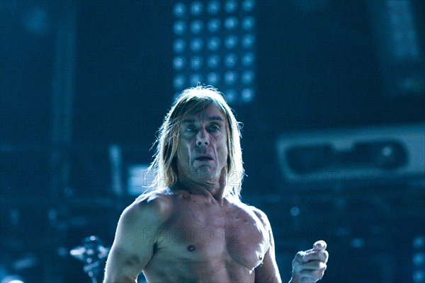 Iggy Pop, 2007