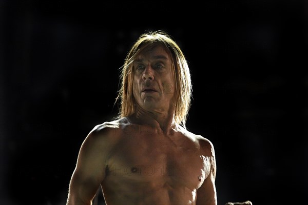 Iggy Pop, 2007