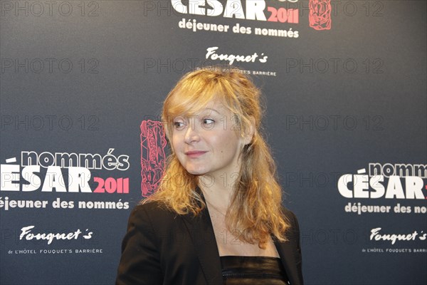 Julie Ferrier, 2011