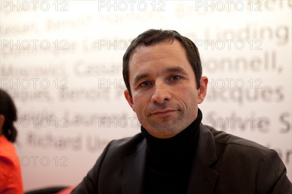 Benoit Hamon, 2012