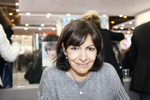 Anne Hidalgo, 2013