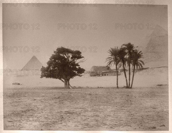 Le Gray Gustave, Egypt, Pyramid, gum trees and Doum palm trees