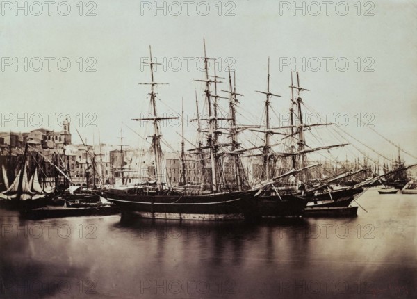 Le Gray Gustave, Sète, Groupe de navires à quai