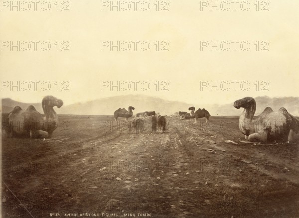 Ming tombs near Peking (China). Avenue of the Stone Animals
