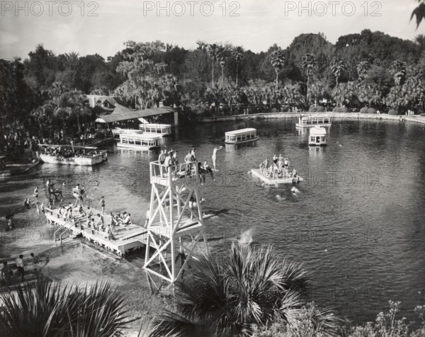 Vue panoramique de Silver Springs en Floride