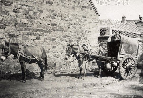 Chine, charette attelée, à Pékin