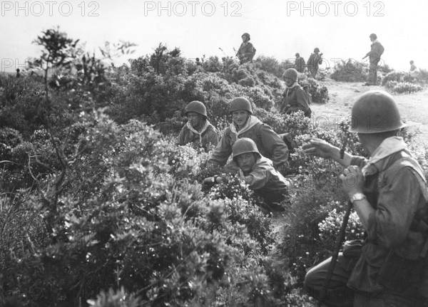 Military operations during the war in Algeria (1956)