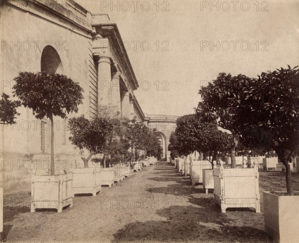 Atget, L'Orangerie du Parc de Versailles