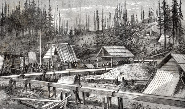 Gold mines of Cameron in Canada, 1866