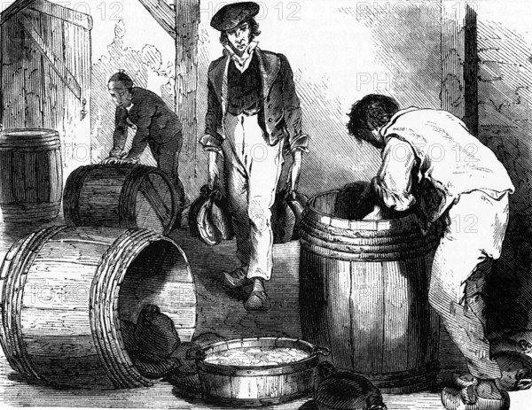 Curing ham in Bayonne, 19th century