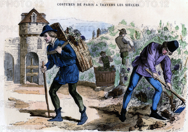 Culture de la vigne en France au 15e siècle