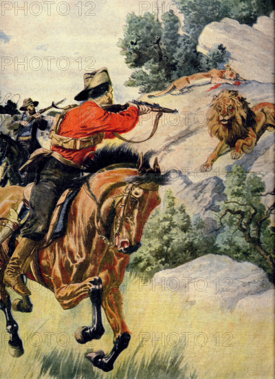 Chasse au lion dans la Transvaal
