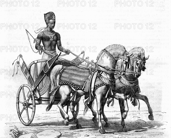 Pharaoh on his chariot