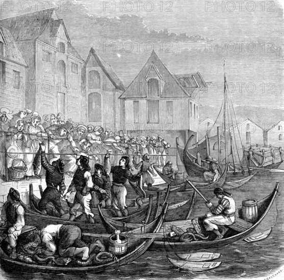 Bergen Fish market (Norway)