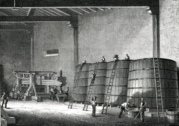 CLOS VOUGEOT, cellier et pressoir bourguignon en 1876