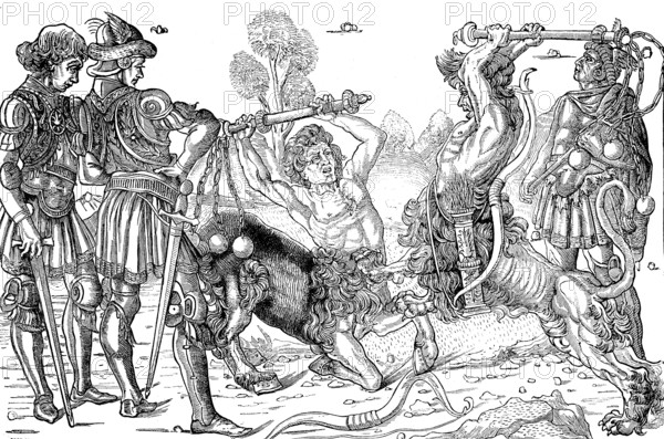 Combat de deux Centaures