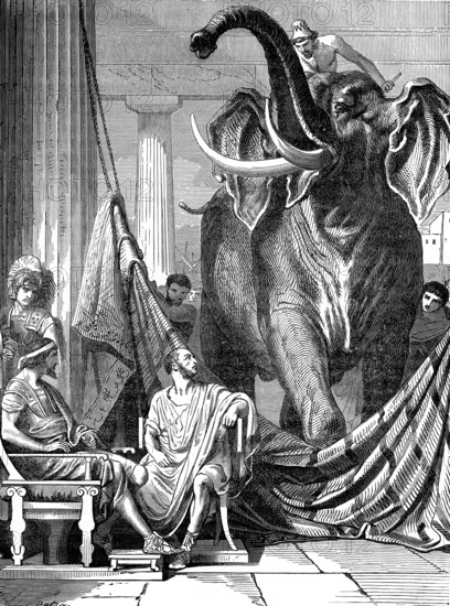 L'éléphant du roi grec PYRRHUS