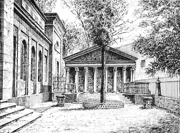 Le chêne de Guernica