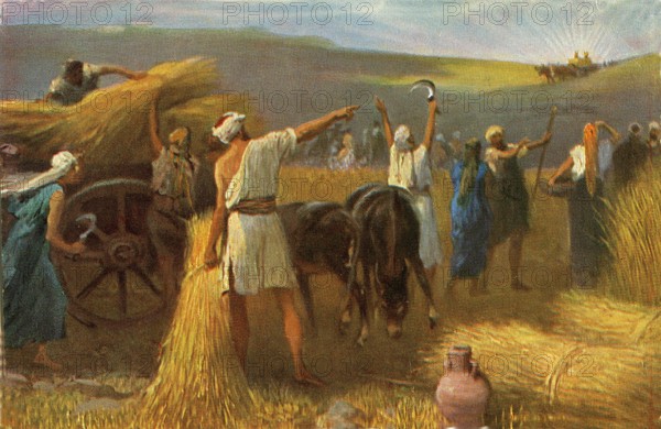 Les récoltes de blé