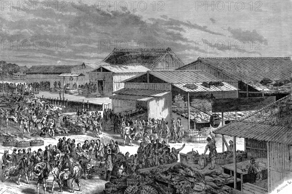 Marché aux poissons, Japon