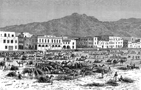 Marché d' ADEN au YEMEN au 19ème siècle