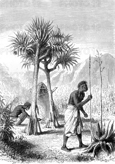 Gardes champêtres à l'ile de LA REUNION