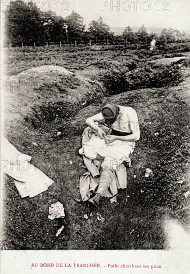 Poilu cherchant ses poux