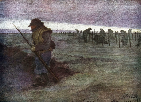 Pose des fils barbelés