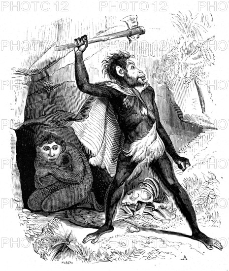 The fossil man. from artwork " The universe before mankind " by M. Boitard 
Paris 1863                       ( L'Univers avant l' homme )