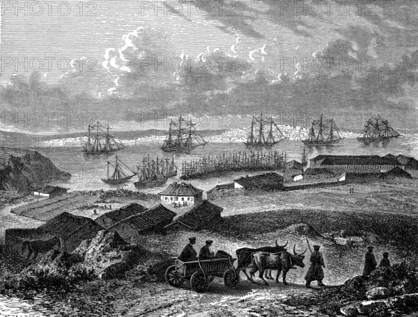 La ville russe de Sébastopol, Crimée