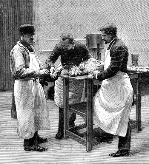 Traitement de la tuberculose en laboratoire de physiologie