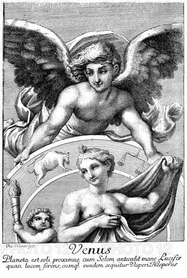 Vénus dans le Zodiaque