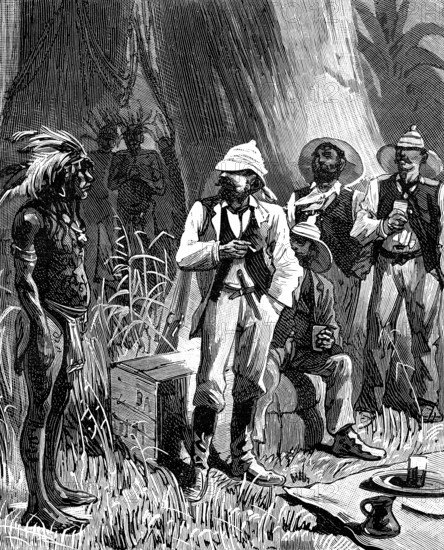 Forêt d'hévéas au Brésil