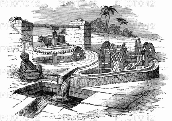 Système d'irrigation en Egypte