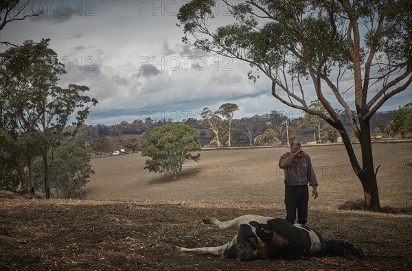 Australia devastated by bush fires