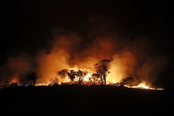 Australia's bushfires continue to burn