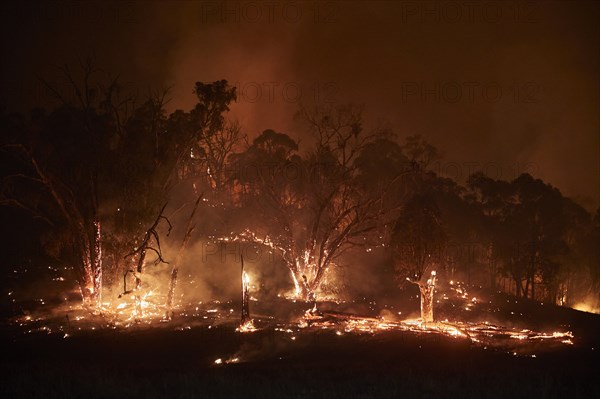 Australia's bushfires continue to burn