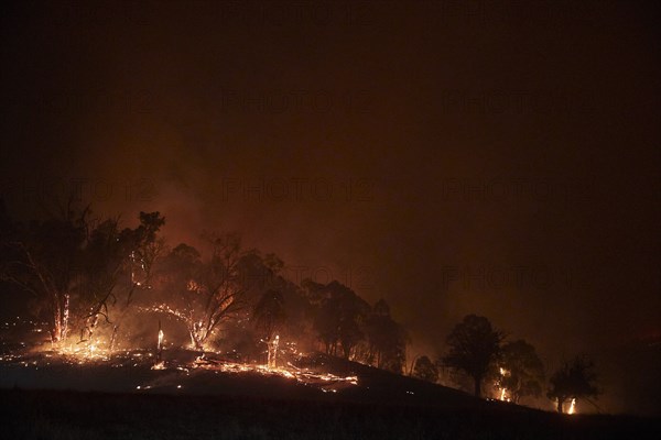 Australia's bushfires continue to burn