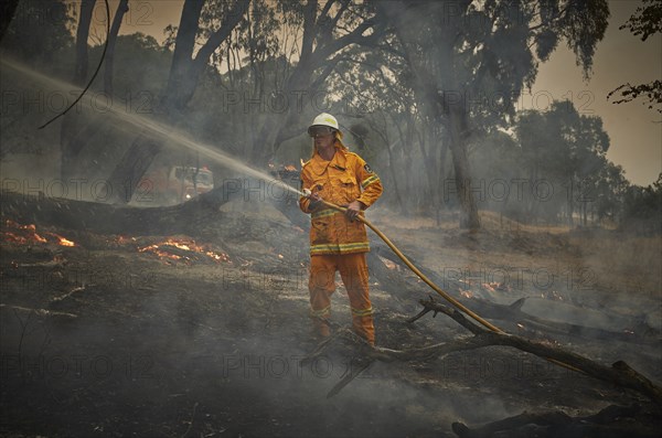 Australia's bushfires continue to burn