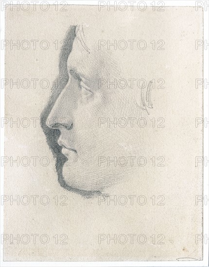 Anonymous, Profile study of Napoleon
