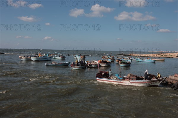 Alexandrie, les pêcheurs du delta du Nil