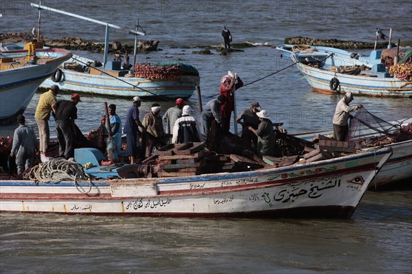 Alexandrie, pêcheurs du delta du Nil