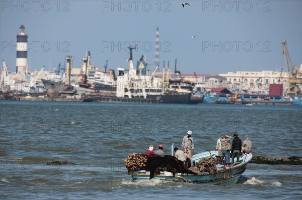 Alexandrie, pêcheurs du delta du Nil