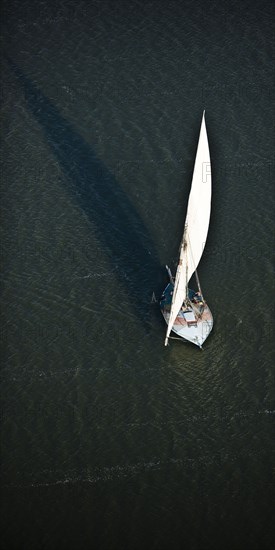 Alexandrie, pêcheurs du delta du Nil