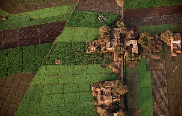 Champs du delta du Nil, vue aérienne