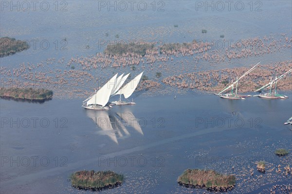 Lac Burullus (Egypte)